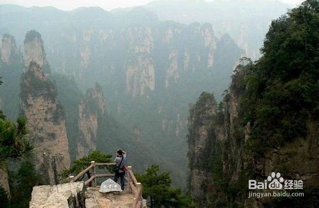 学生张家界旅游线路