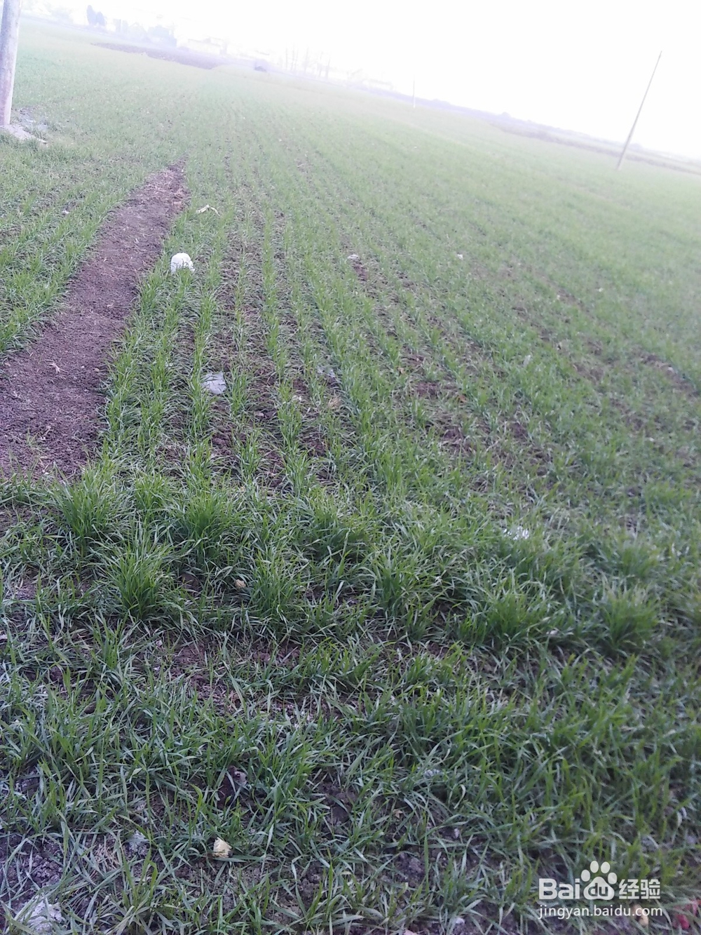 春节过年如何应对熊孩子?