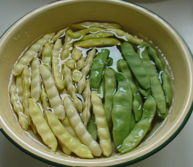 五花肉炖黄绿豆角的做法大全,味道真是好极了!