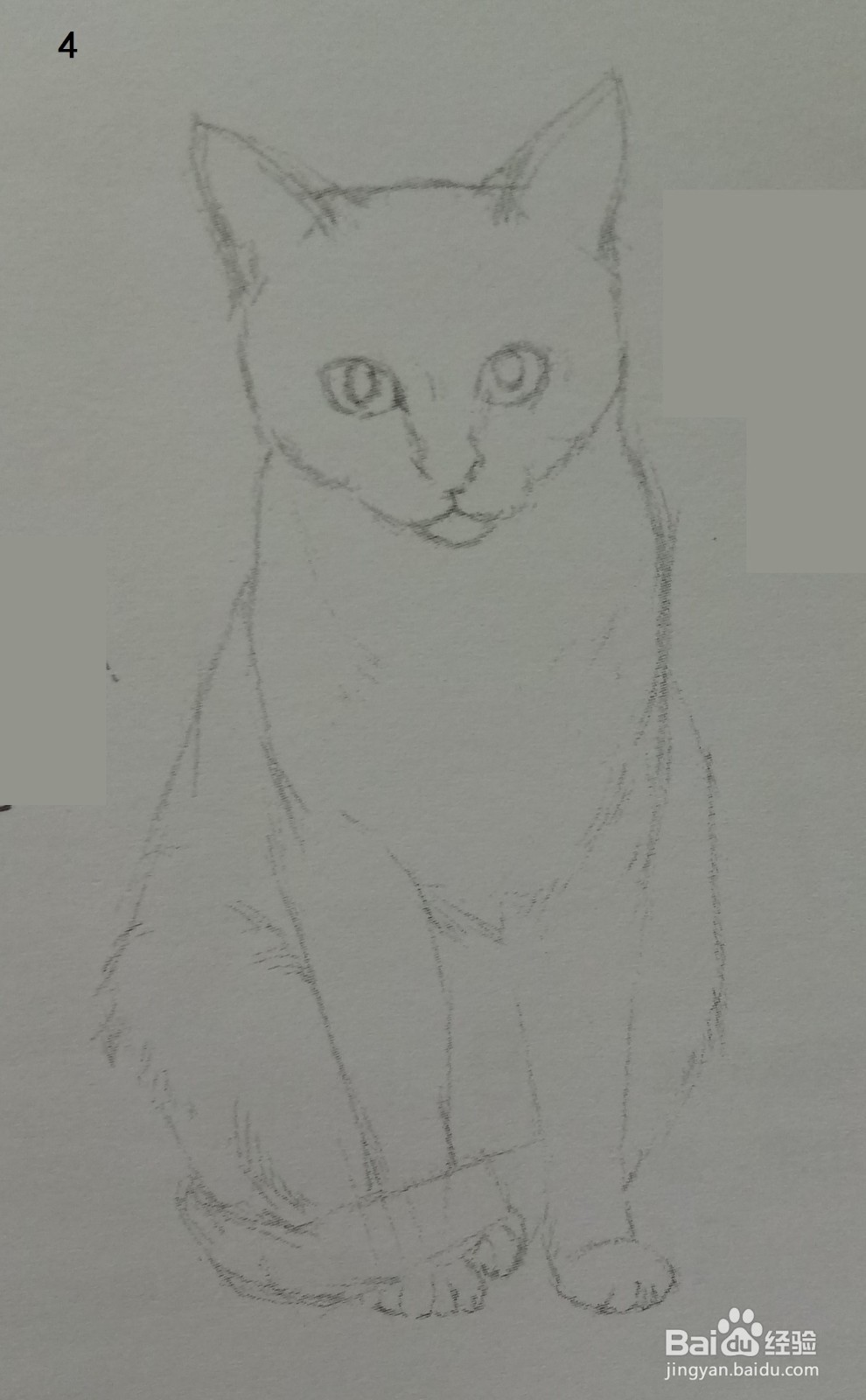 色铅笔画浅黄色小猫咪(素描进阶)