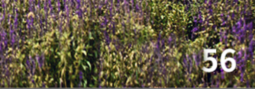 ps怎么快速去水印？