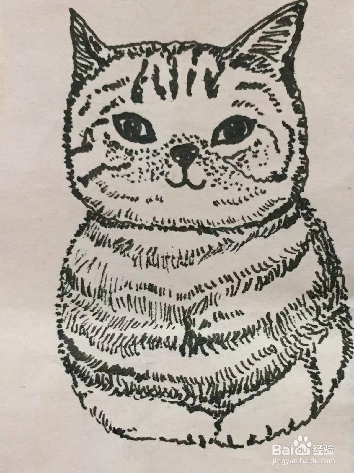 插画教程之猫咪和玄凤鸟