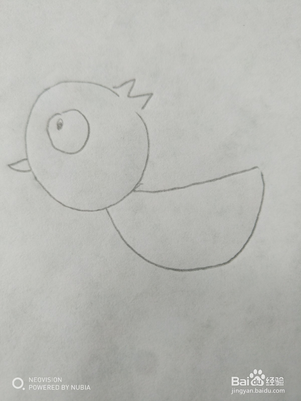简单可爱的小鸟怎么画（四）