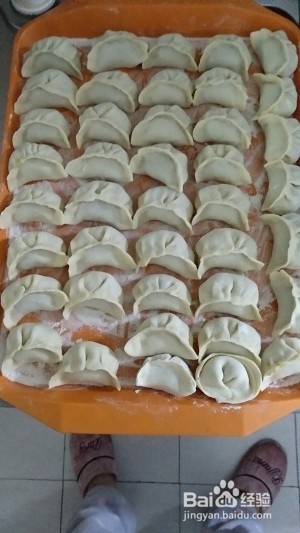 食补佳品白菜馅饺子