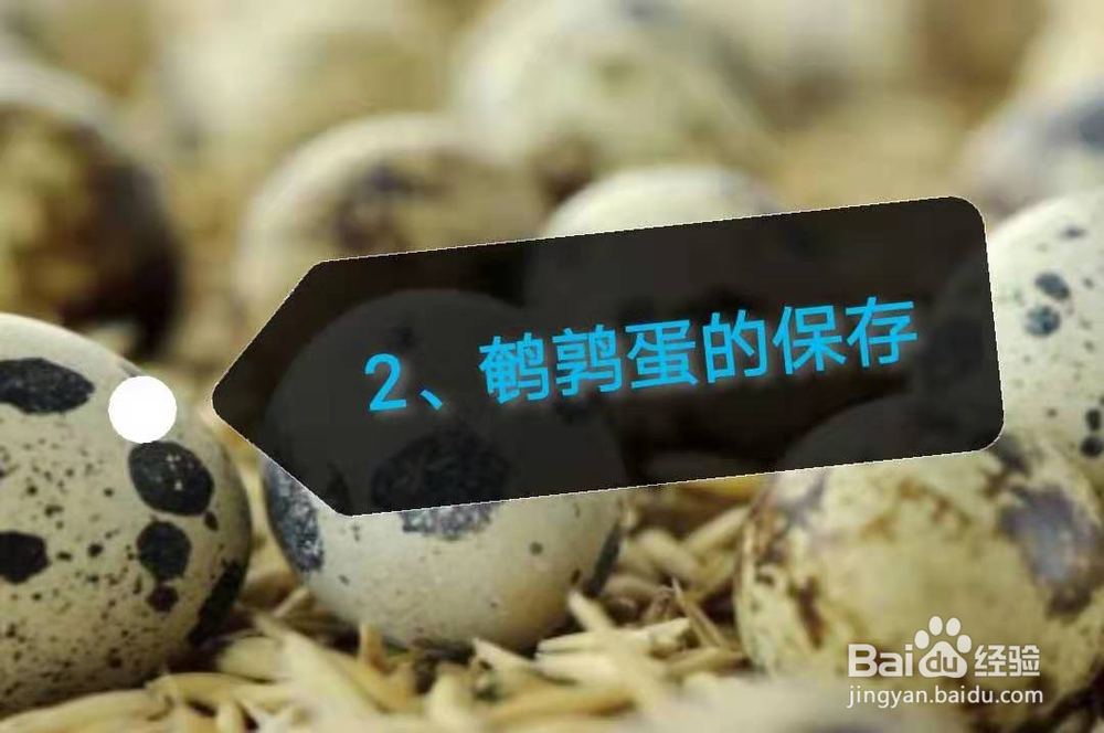 各类蛋的选购技巧及保存方法。