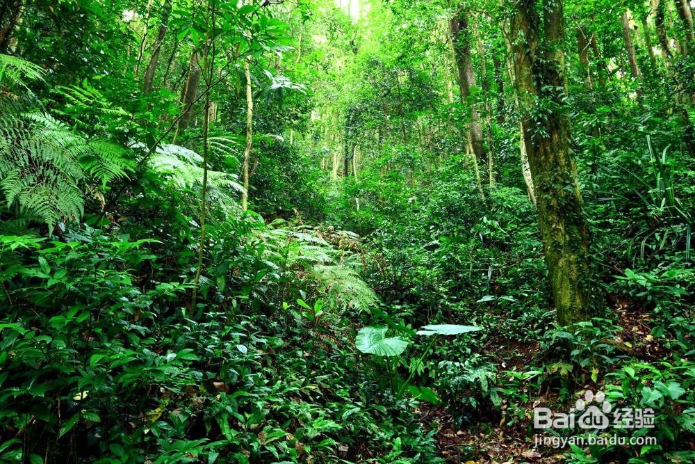 戒烟后如何将肺部清洁干净？