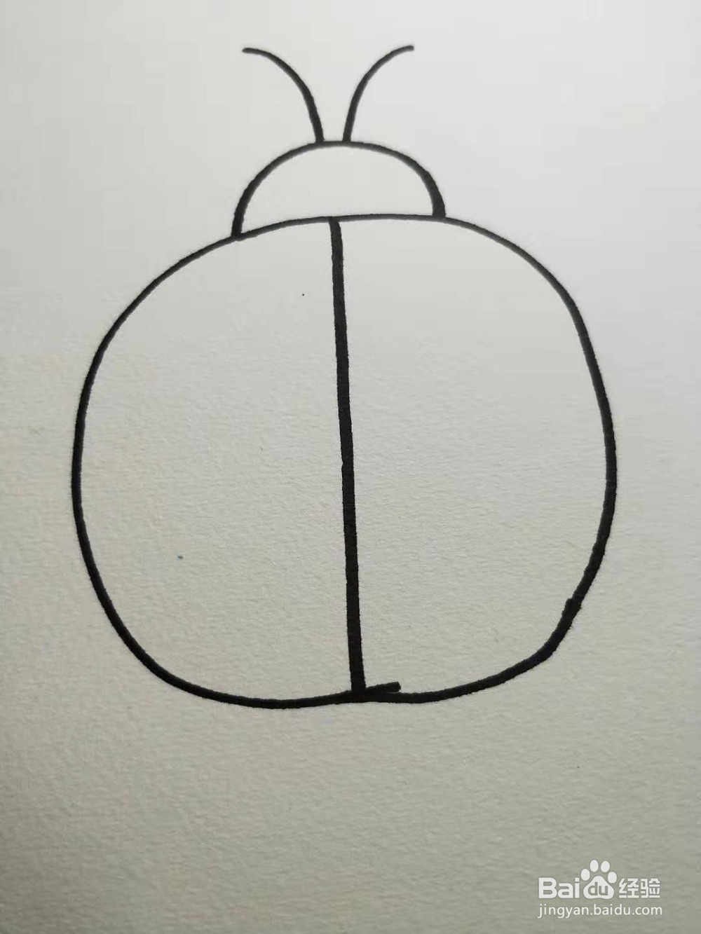如何画七星瓢虫简笔画