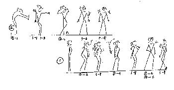 初中学生健身操