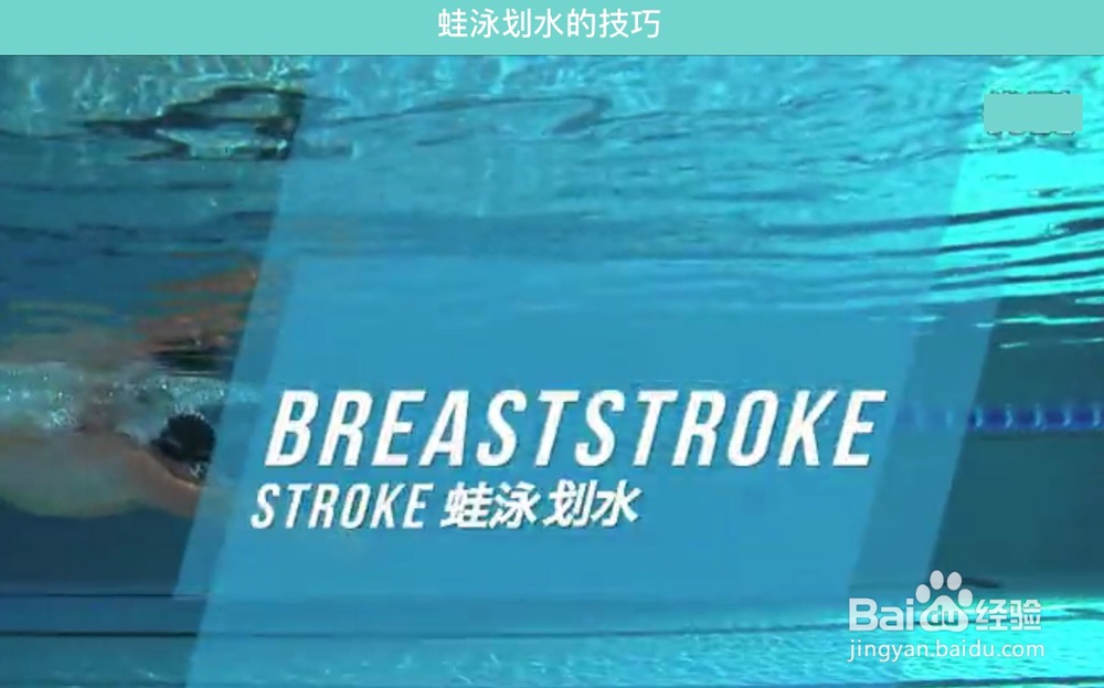 怎么学习游泳之蛙泳技巧