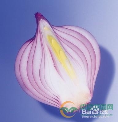 洋葱在生活中的妙用