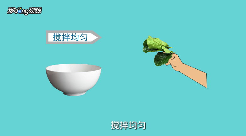 琴叶榕如何养殖