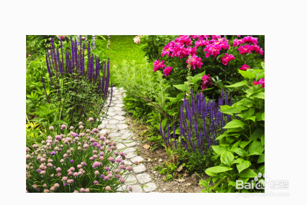 怎么拍照才会好看？