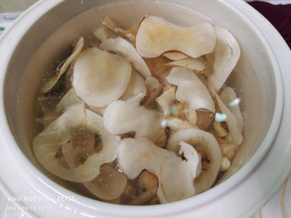 老母鸡炖海底椰