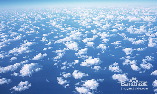 如何观测流星雨?