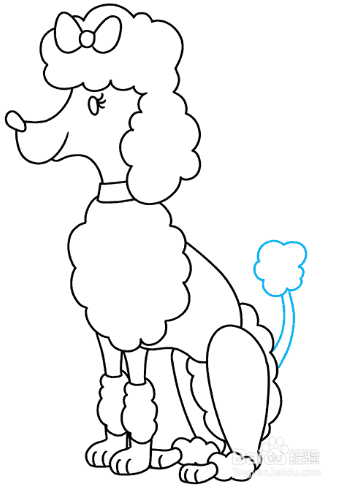 如何画可爱的贵宾犬?