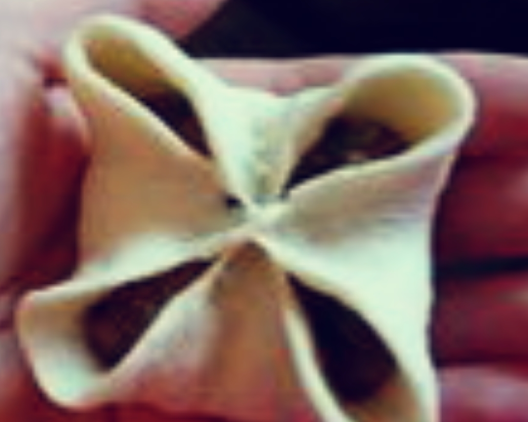 快手四喜饺子的做法，我教教你啊