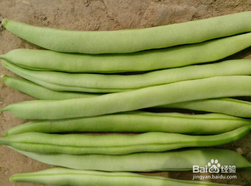夏季做凉菜哪些食材需要特别注意
