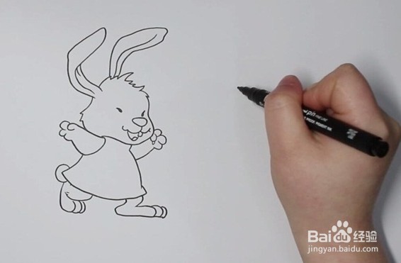 简笔画系列-怎么画小白兔和小灰兔简笔画