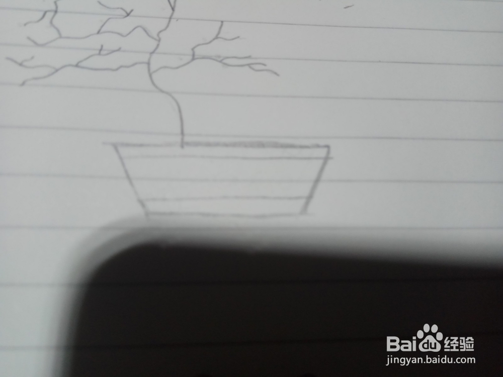 如何画盆栽梅花