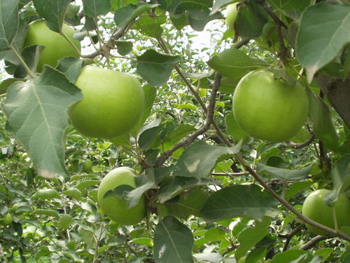 怎样保养卵巢,让自己更年轻