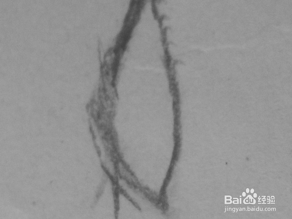 原创动漫人物的眼睛三