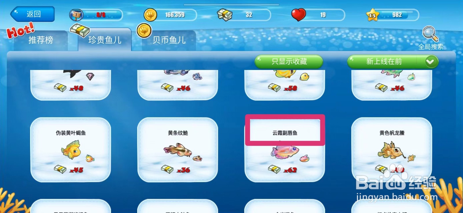 开心水族箱怎么获得云霞副唇鱼