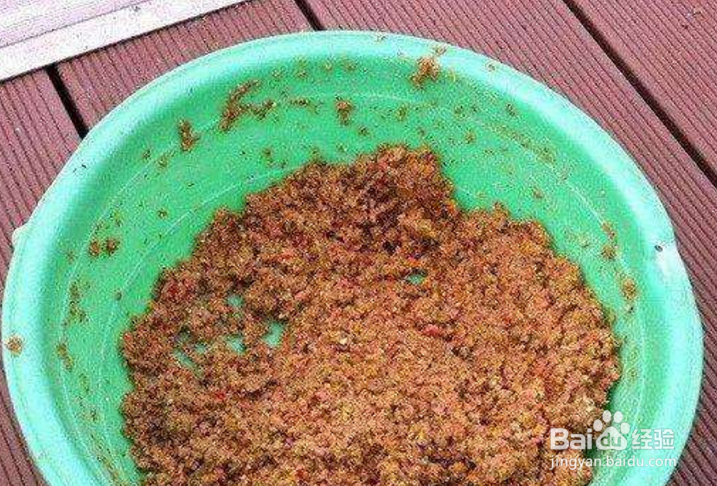 夏季钓鱼使用饵料思路技巧注意事项