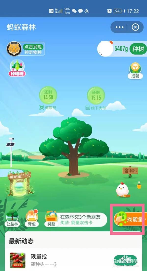 支付宝能量雨怎样开启