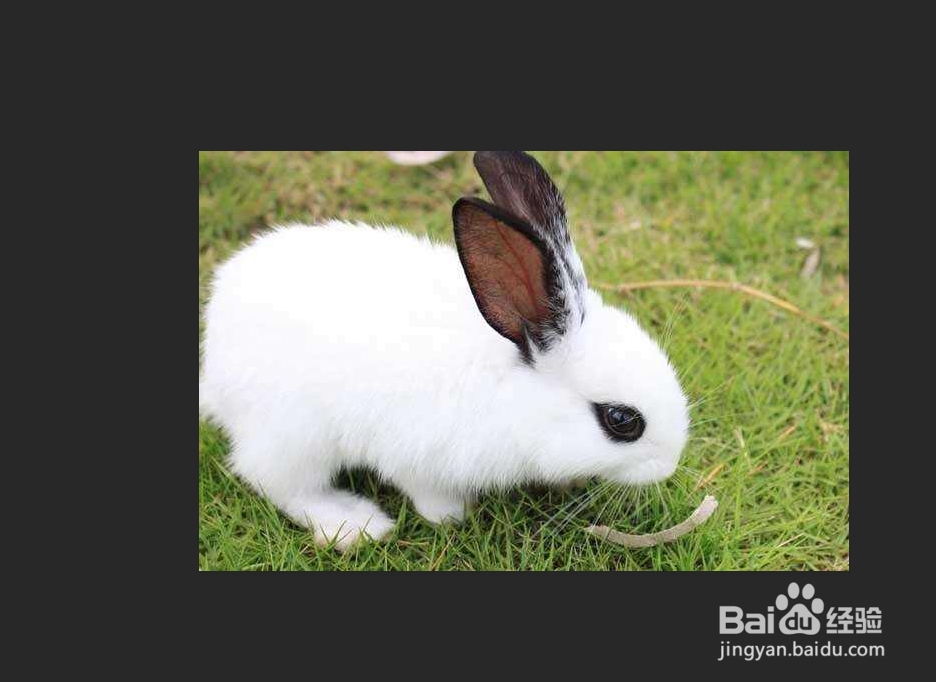 PS怎么水平旋转图片