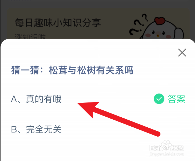 松茸和松树有关系吗？蚂蚁庄园