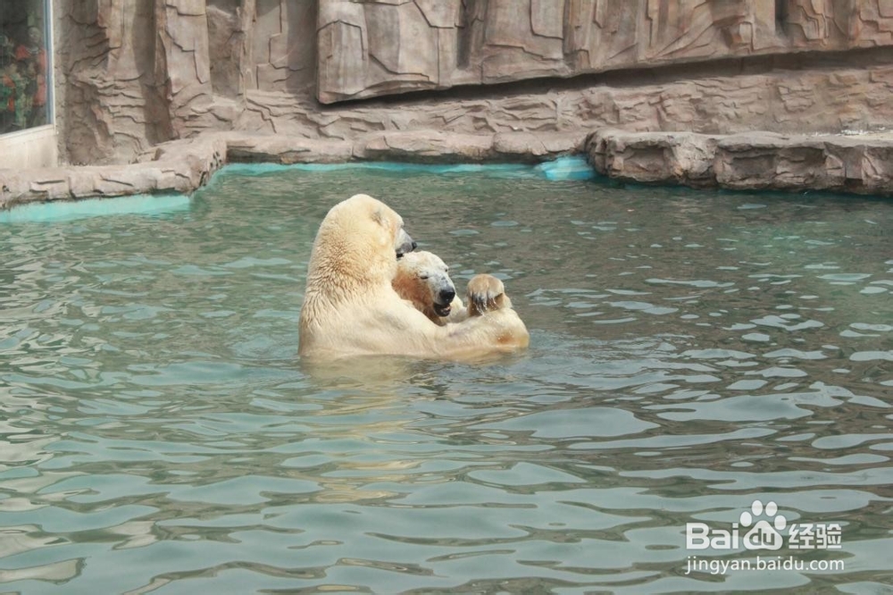 迅速让照片中的情侣更突出