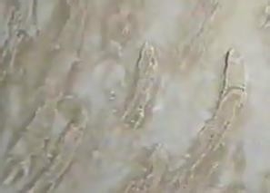 硅藻泥墙面怎么做呢?【墙面艺术效果大解密】