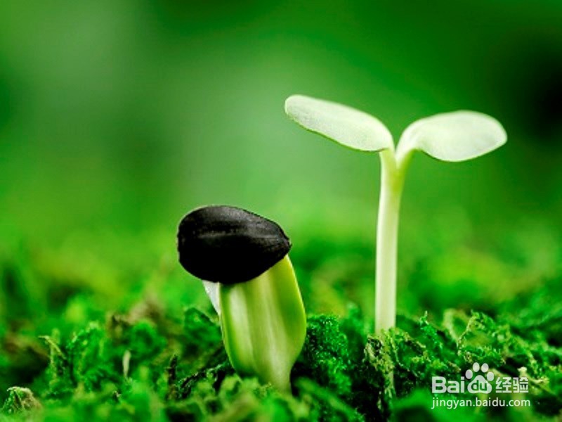 跑步要注意的事项