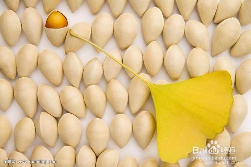 银杏果白果的功效及禁忌