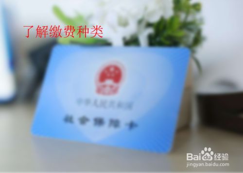 百度经验