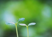 每天做到这几件事，不久以后你就会改变