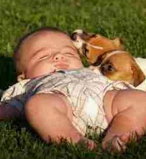 如何增强宝宝的体制