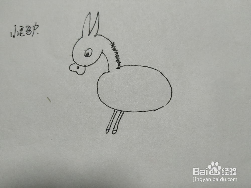 小毛驴简笔画怎么画呢