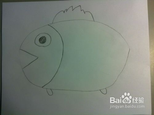 教你画动物——小鱼