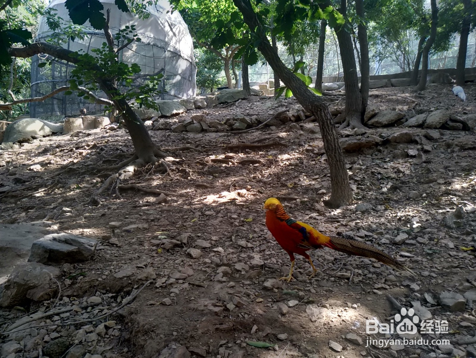 大连老虎滩一日游攻略