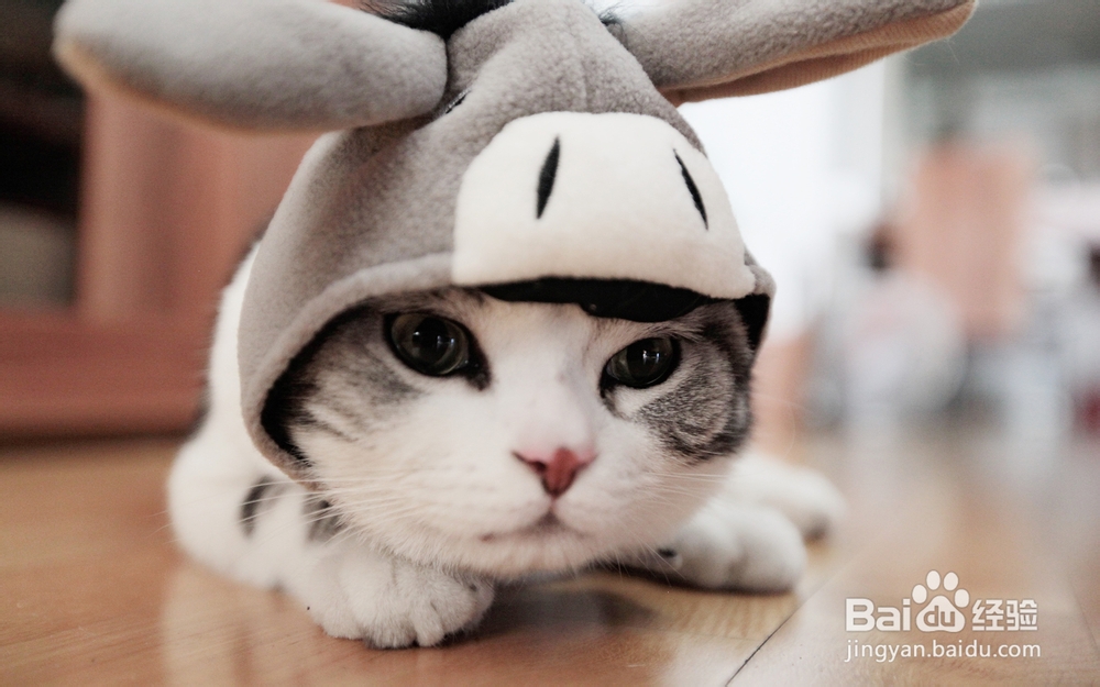 申请美国留学音乐专业需要符合哪些条件才能成功