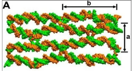反应分子数是什么