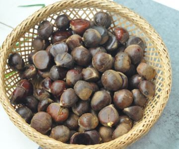 板栗怎么快速去壳去皮