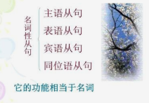 高中英语语法总结之名词性从句