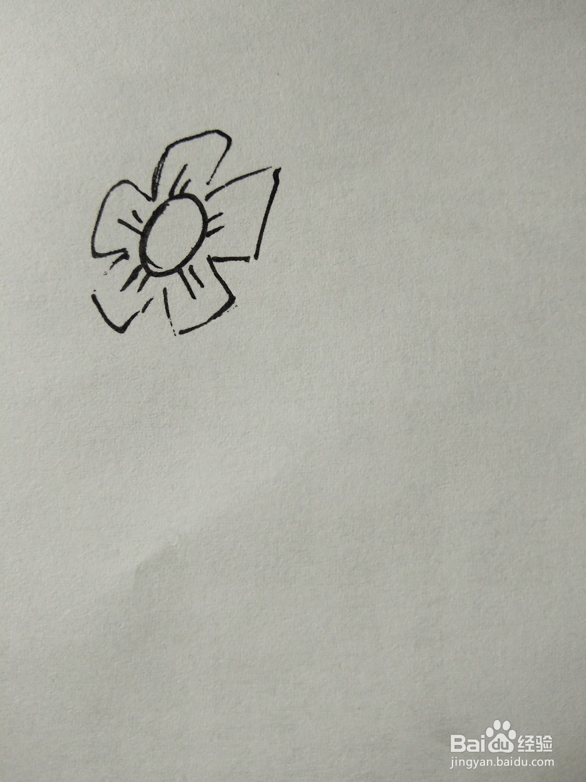 简笔画花朵图片