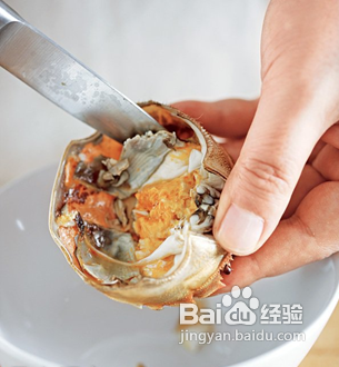 教你怎样拆螃蟹,做美味的蟹粉