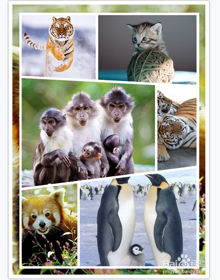 怎么快速的制作朋友圈分享图片