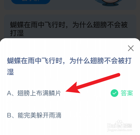 蝴蝶在雨中飞时,为什么翅膀不被打湿蚂蚁庄园