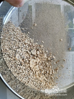 健康养生佳品自制香菇粉的做法