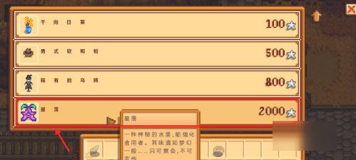 星露谷物语展览会多余的星星币怎么办